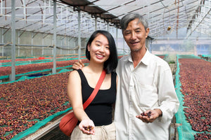 
                  
                    Load image into Gallery viewer, Vietnam Fine Robusta | Coffee Cherry in Vietnam | Single Origin Coffee | Coffee Sourcing
                  
                