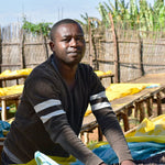 Catapult Coffee | Ethiopia Hulichaye Natural | Single Origin