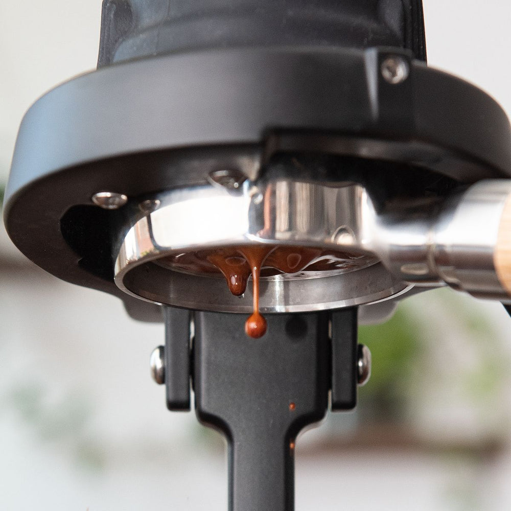 
                  
                    Load image into Gallery viewer, Flair 58 Espresso Maker | Electric Version
                  
                