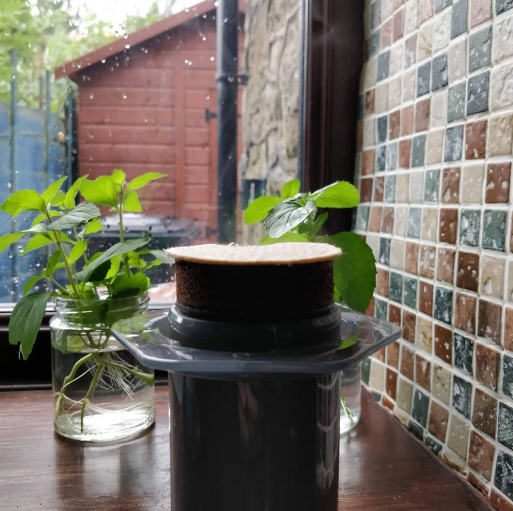 
                  
                    Load image into Gallery viewer, brewing coffee by AeroPress with a handcraft reusable cloth filter
                  
                